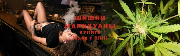 ГАЛЛЮЦИНОГЕННЫЕ ГРИБЫ Аркадак