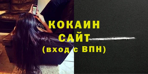 шишки Баксан