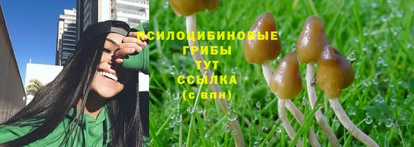 соль ск Балабаново