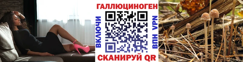 Галлюциногенные грибы Cubensis  цены наркотик  ссылка на мегу ссылки  Галич 